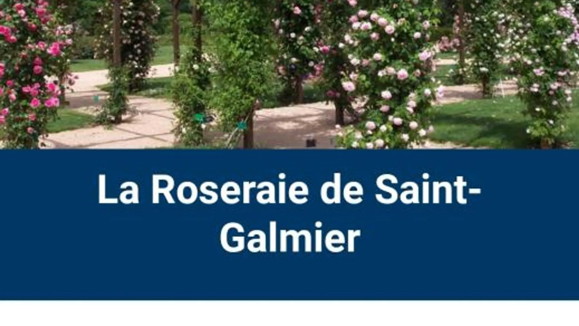 Appartement Authentique Et Confortable Avec Wifi, Parking Gratuit Et Cuisine Equipee A Saint-Galmier - Fr-1-496-276 Frankrijk
